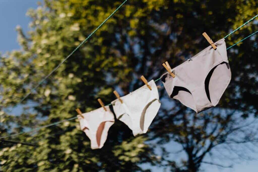 3 pairs of women's underwear hanging on a clothesline.