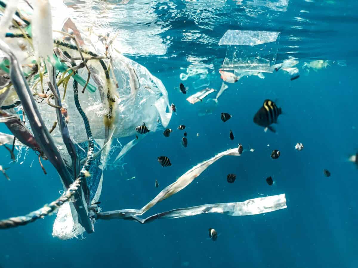 plastic trash floating in the ocean with fish in the background