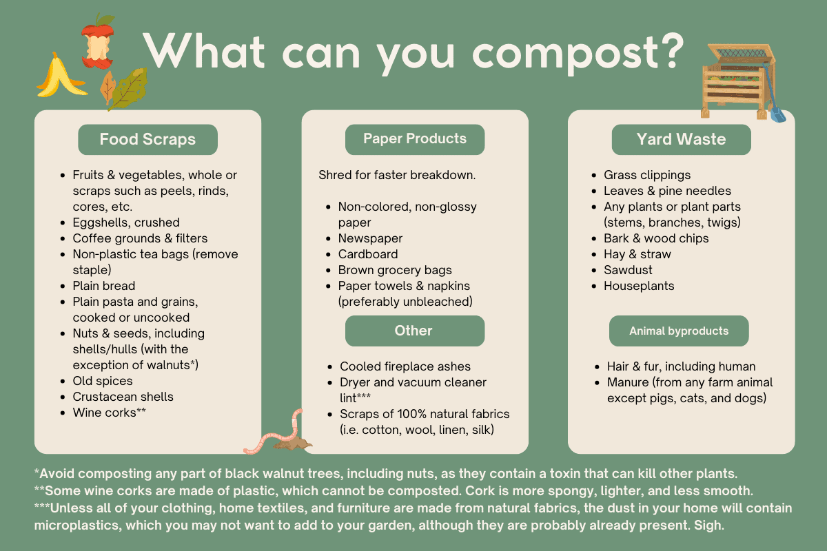 Infographic: what can you compost?
