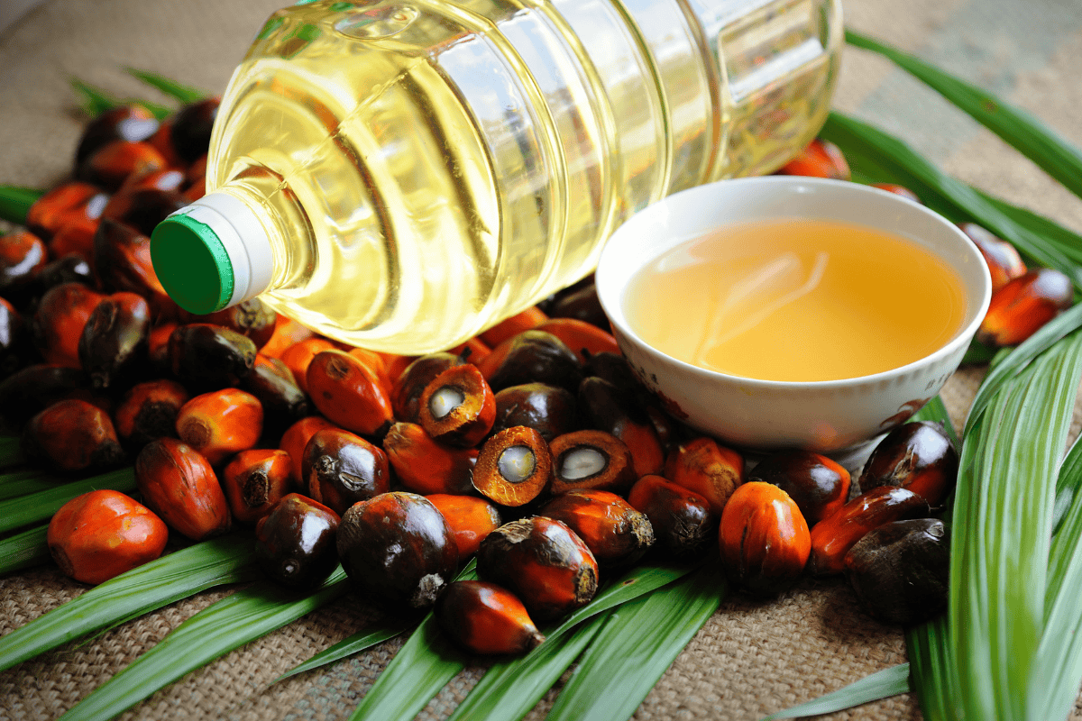 palm oil